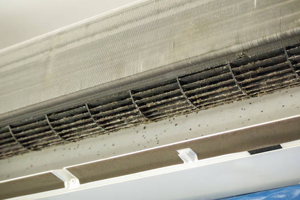 Best Dryer Vent Cleaning Services  in Churchill, PA
